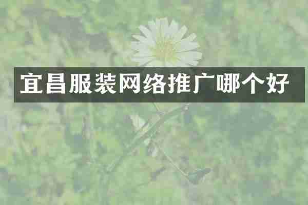 宜昌服装网络推广哪个好