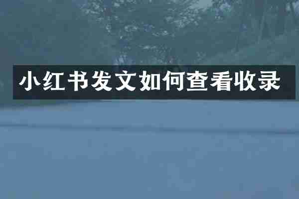 小红书发文如何查看收录