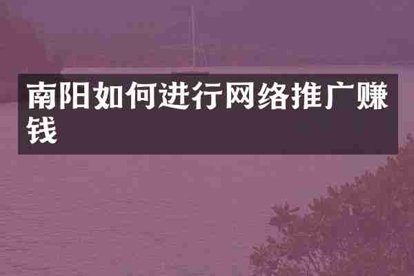 南阳如何进行网络推广赚钱