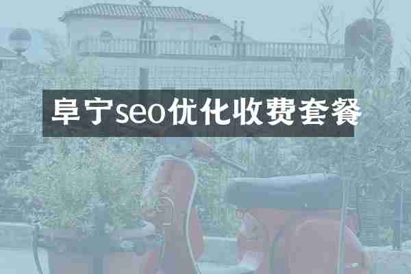阜宁seo优化收费套餐