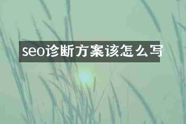 seo诊断方案该怎么写