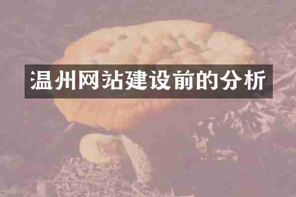 温州网站建设前的分析