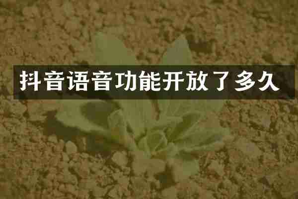 抖音语音功能开放了多久