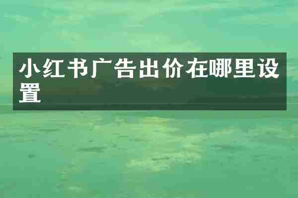 小红书广告出价在哪里设置
