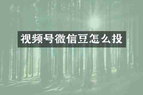 视频号微信豆怎么投
