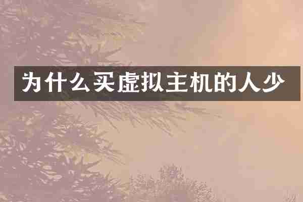 为什么买虚拟主机的人少