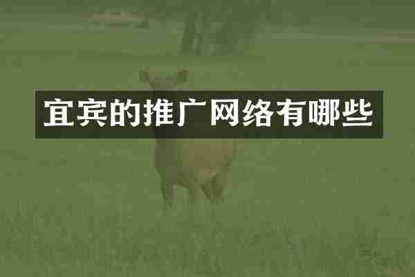 宜宾的推广网络有哪些