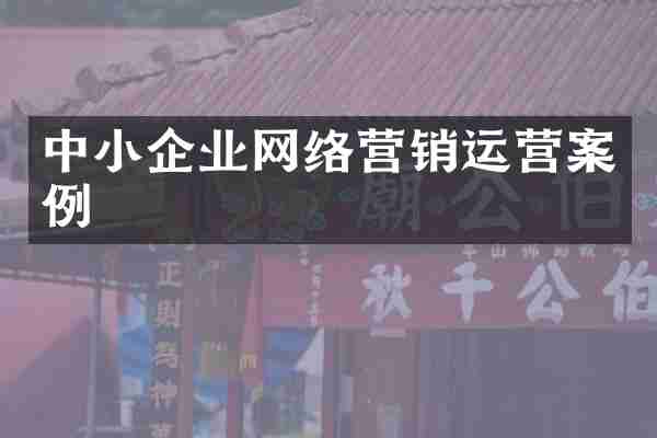 中小企业网络营销运营案例
