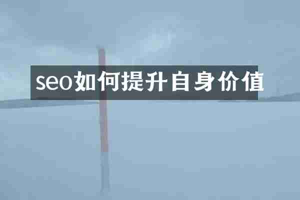 seo如何提升自身价值