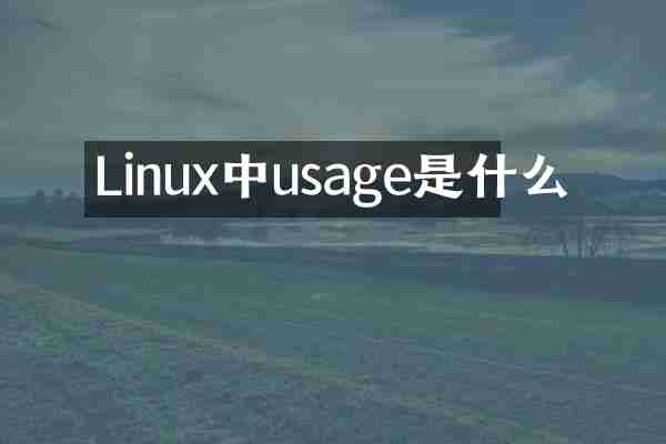 Linux中usage是什么