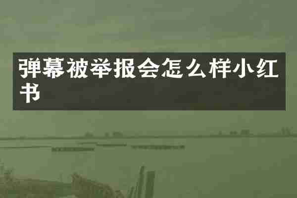 弹幕被举报会怎么样小红书