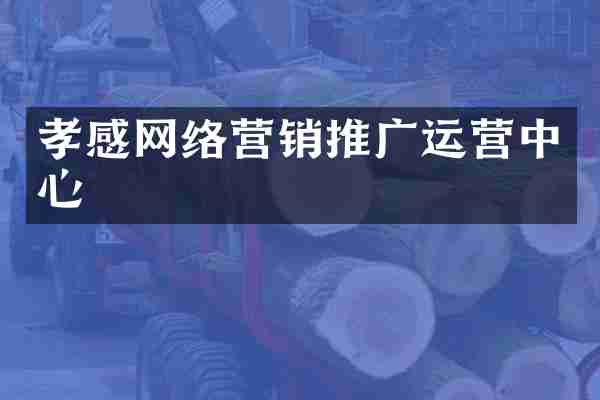 孝感网络营销推广运营中心