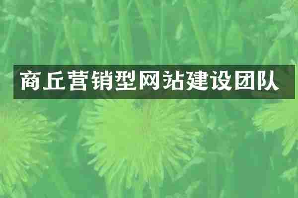 商丘营销型网站建设团队