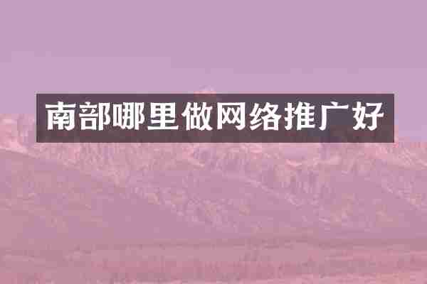 南部哪里做网络推广好