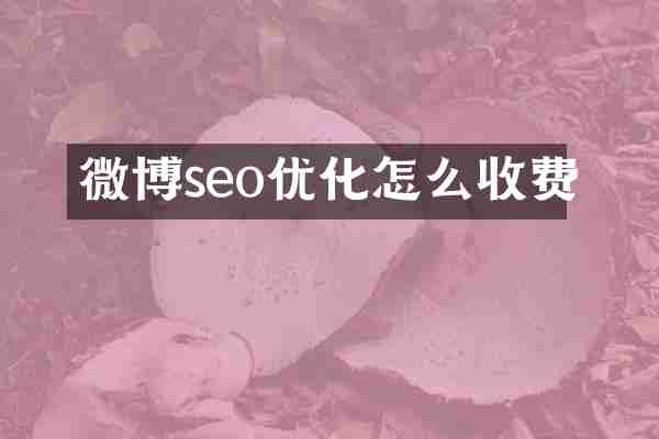 微博seo优化怎么收费