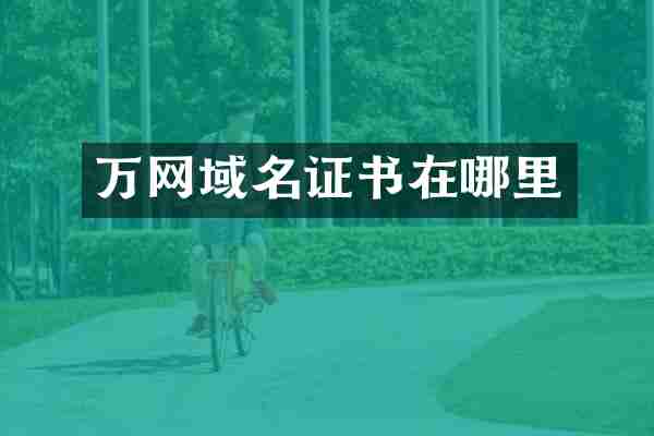 万网域名证书在哪里