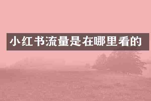小红书流量是在哪里看的