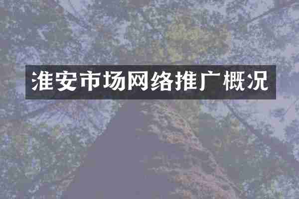 淮安市场网络推广概况