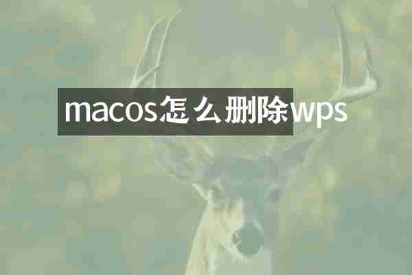 macos怎么删除wps