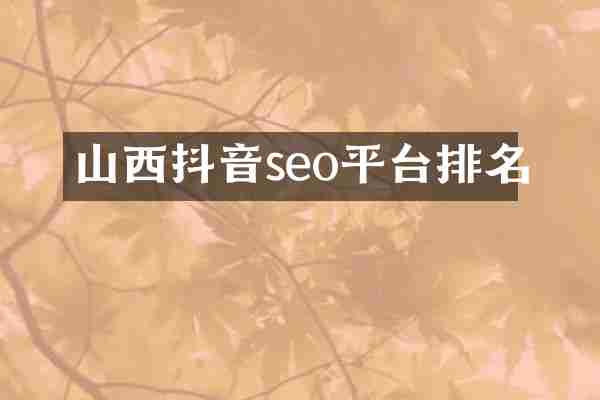 山西抖音seo平台排名