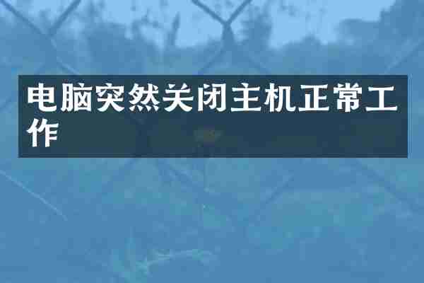 电脑突然关闭主机正常工作