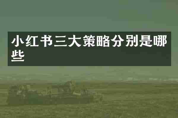 小红书三大策略分别是哪些