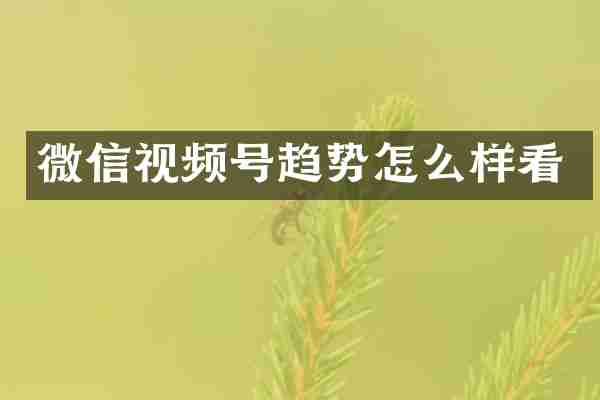 微信视频号趋势怎么样看