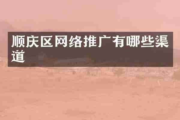 顺庆区网络推广有哪些渠道