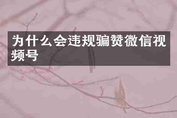 为什么会违规骗赞微信视频号