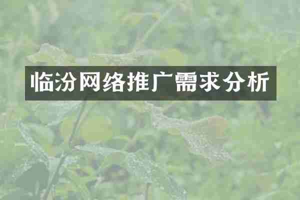 临汾网络推广需求分析