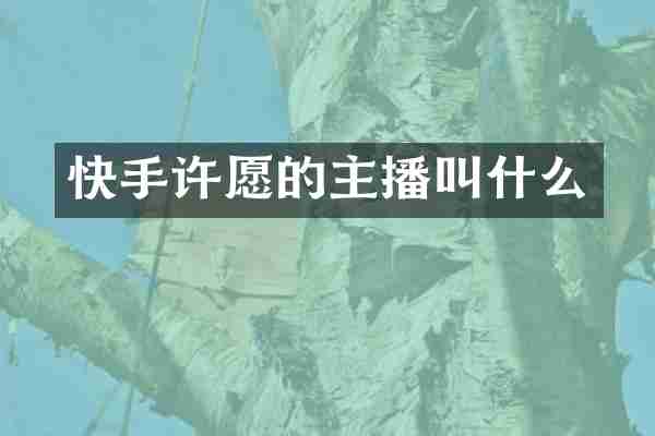 快手许愿的主播叫什么