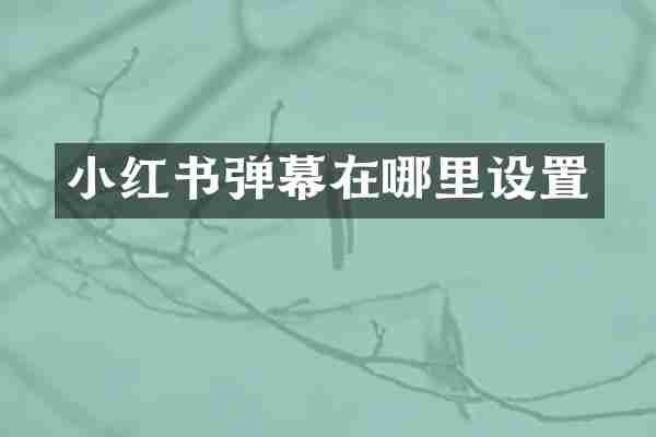 小红书弹幕在哪里设置