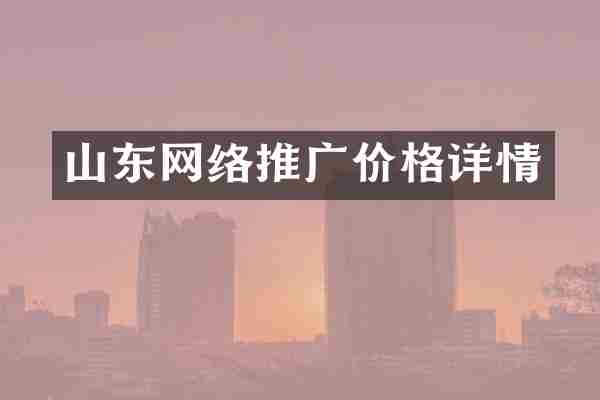 山东网络推广价格详情