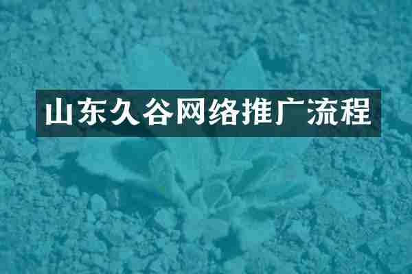 山东久谷网络推广流程