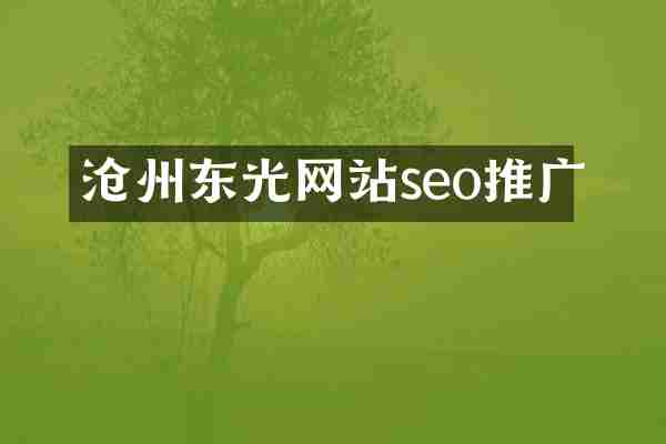 沧州东光网站seo推广