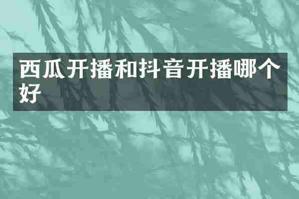 西瓜开播和抖音开播哪个好