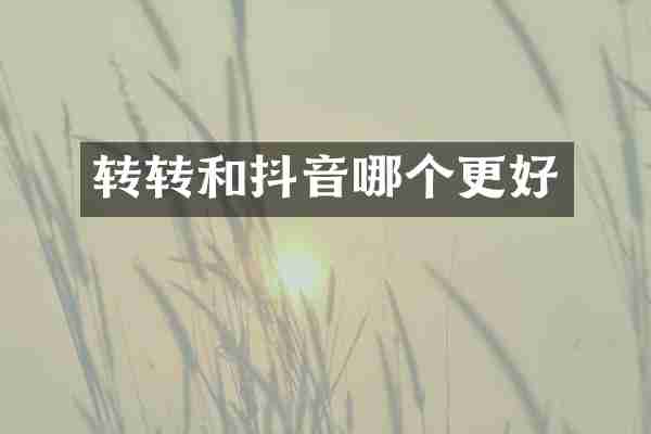 转转和抖音哪个更好