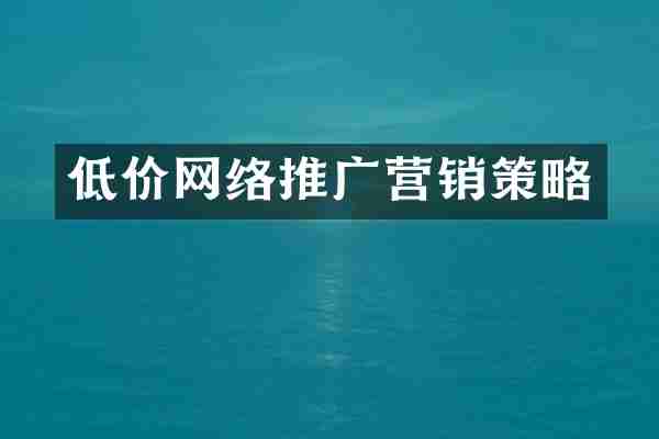 低价网络推广营销策略