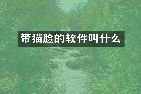 带猫脸的软件叫什么