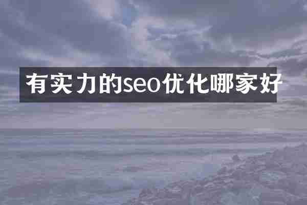 有实力的seo优化哪家好