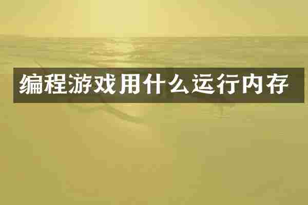 编程游戏用什么运行内存