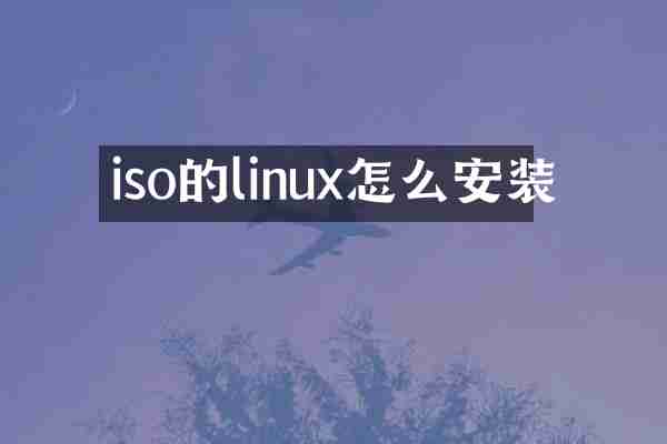 iso的linux怎么安装