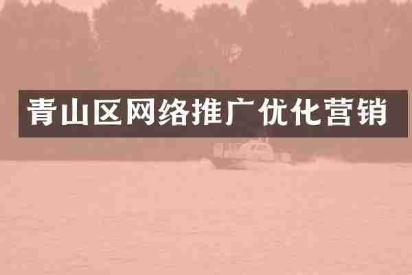 青山区网络推广优化营销