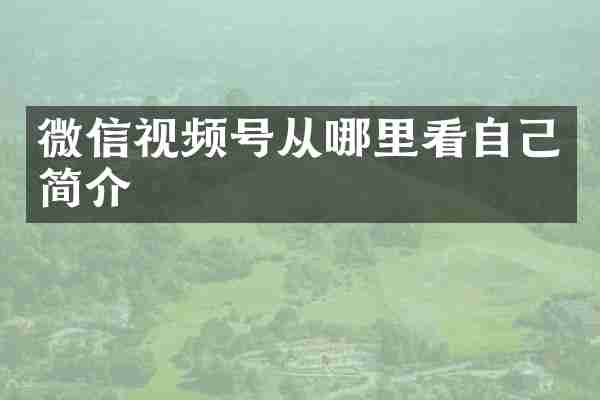 微信视频号从哪里看自己简介