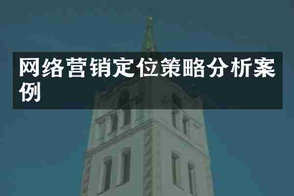 网络营销定位策略分析案例