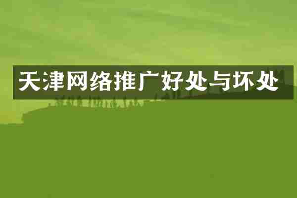 天津网络推广好处与坏处
