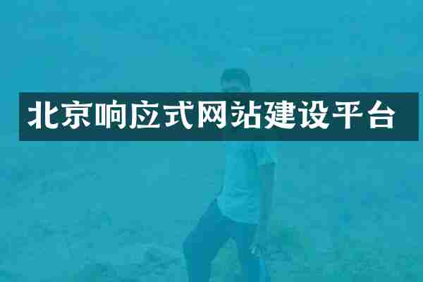 北京响应式网站建设平台