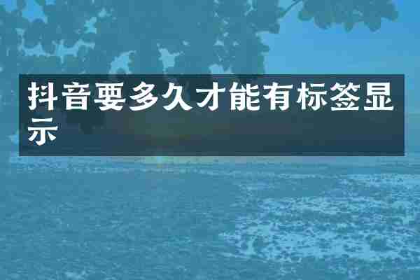 抖音要多久才能有标签显示