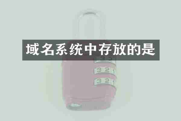 域名系统中存放的是