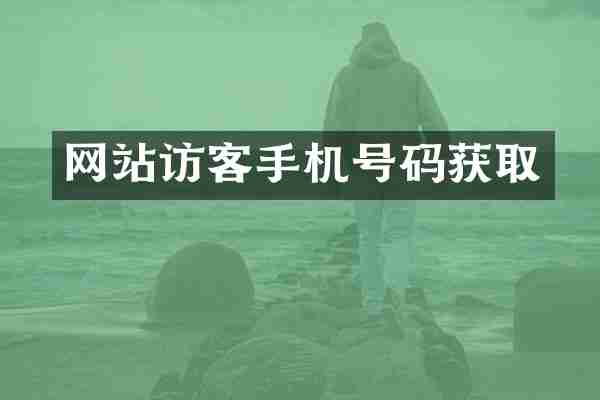 网站访客手机号码获取